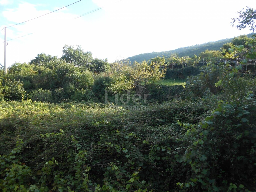 Image 5474558 - 20