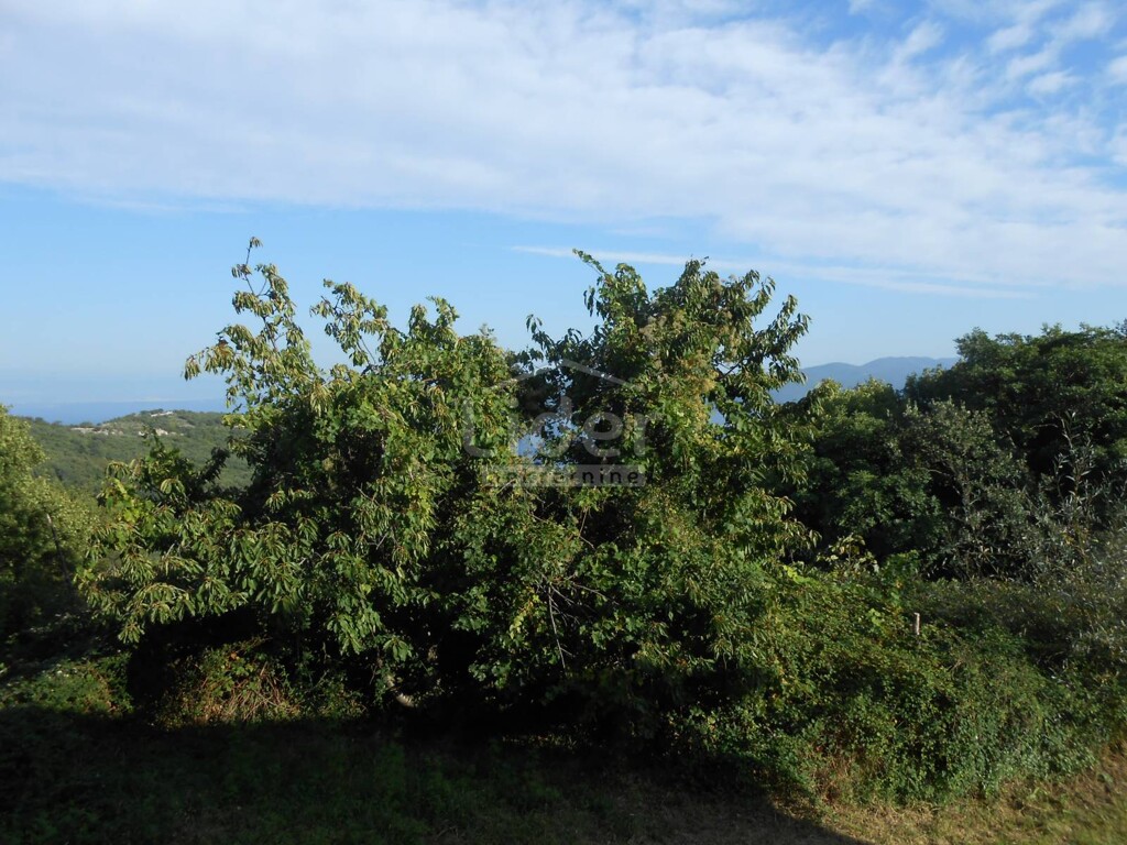 Image 5474558 - 19