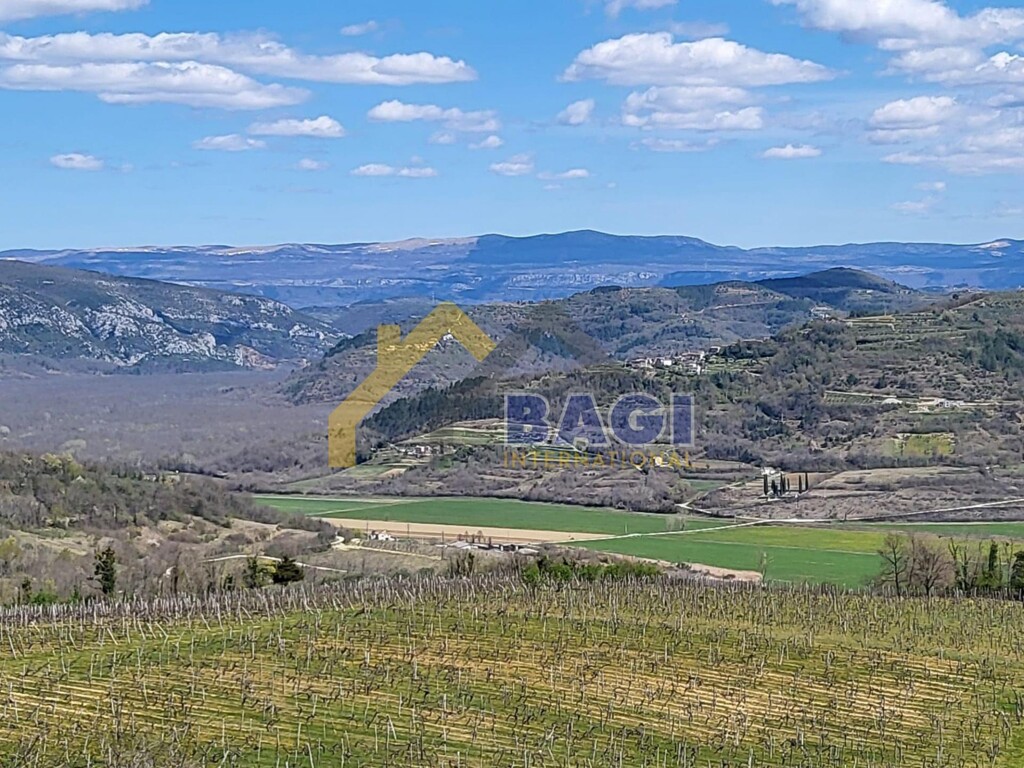 Image 5475315 - 3