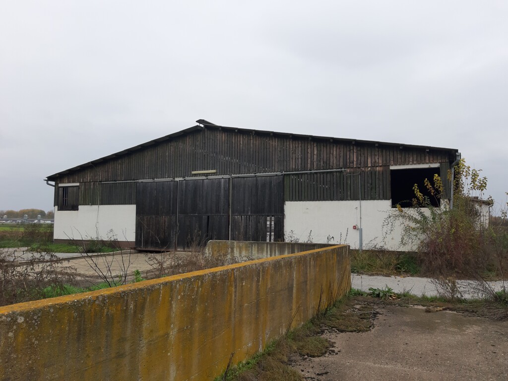 Image 5475802 - 2