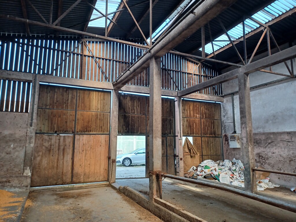 Image 5475802 - 9