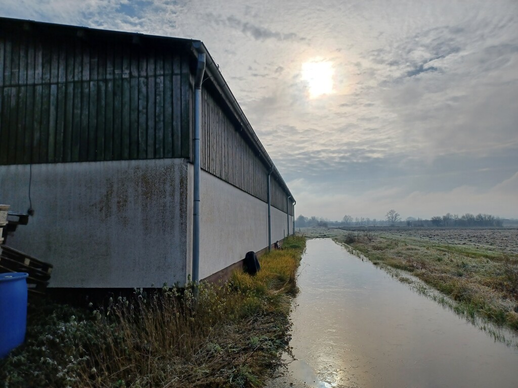 Image 5475802 - 4