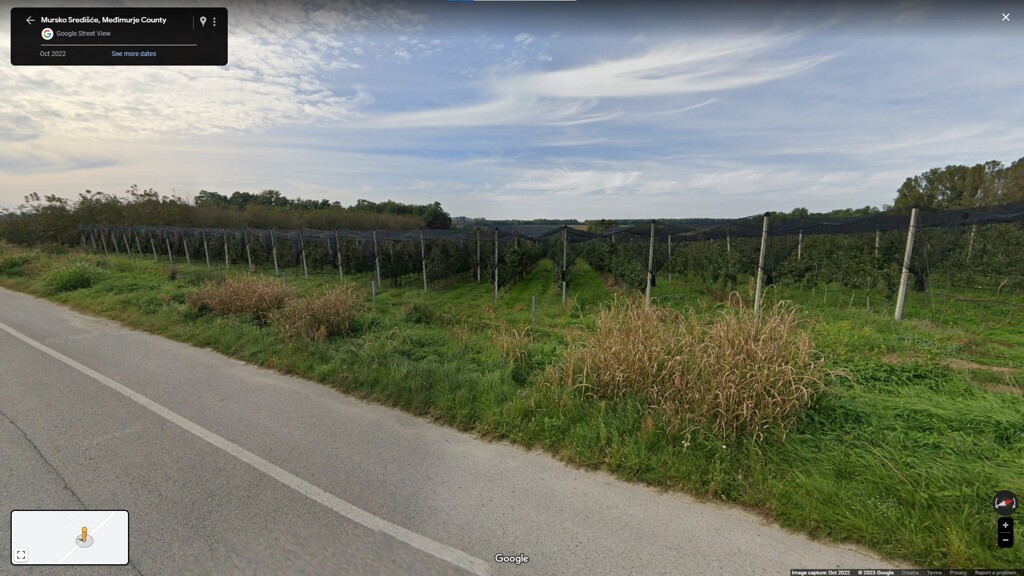 Image 5475837 - 4