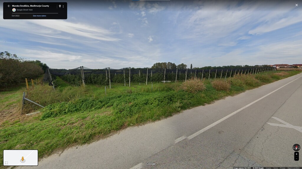 Image 5475837 - 3