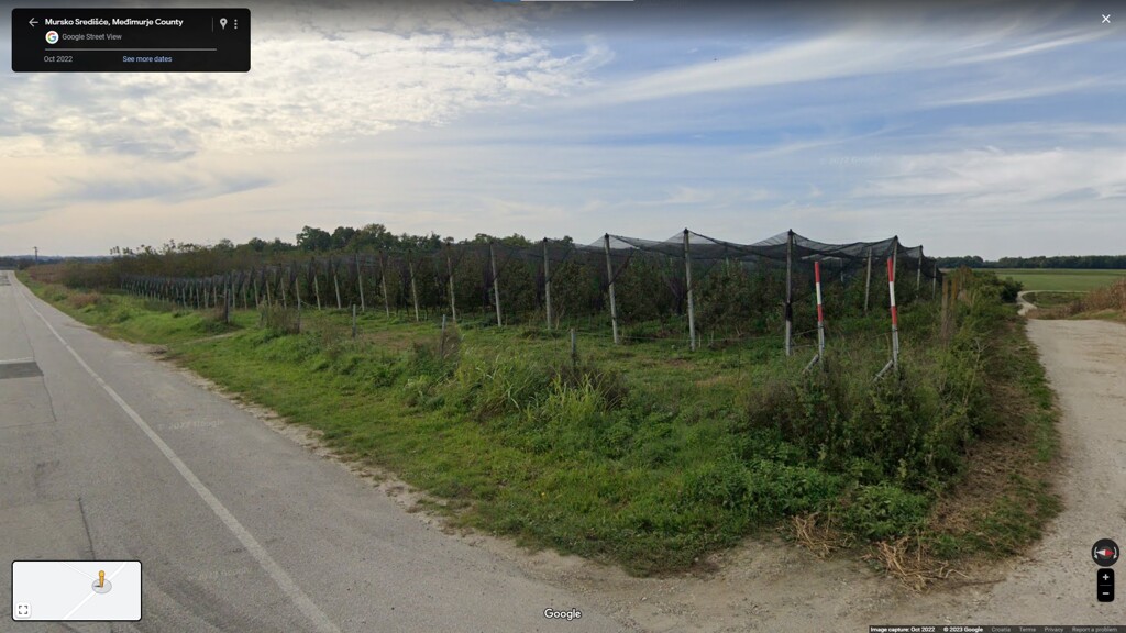 Image 5475837 - 1