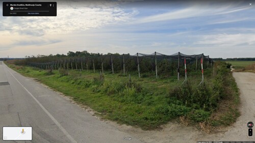 Voćnjak u Peklenici, Mursko Središće, površine od 12.066 m2