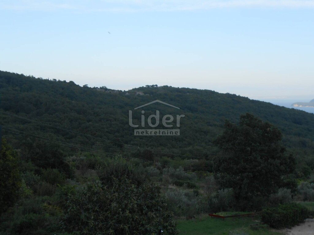 Image 5476126 - 2