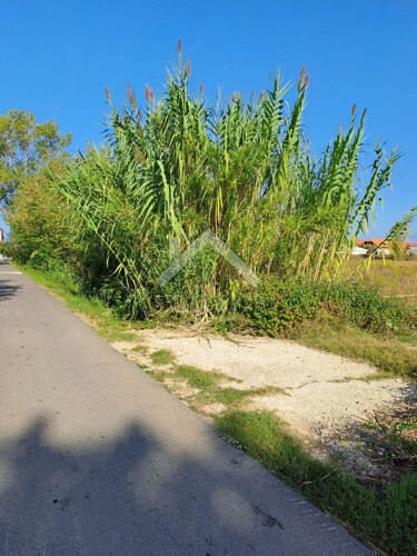 Građevinsko zemljište, 300 METARA OD MORA - Zukve, Vrsi