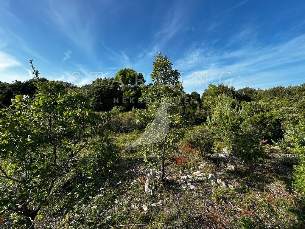 Image 5476179 - 1