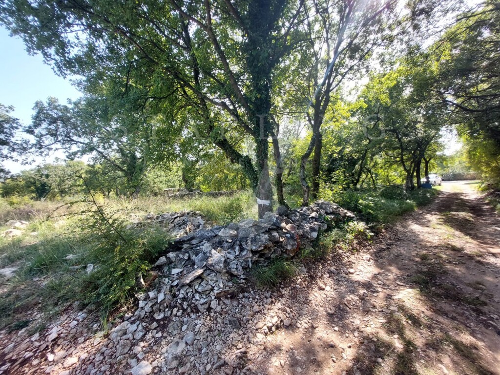 Image 5476184 - 1