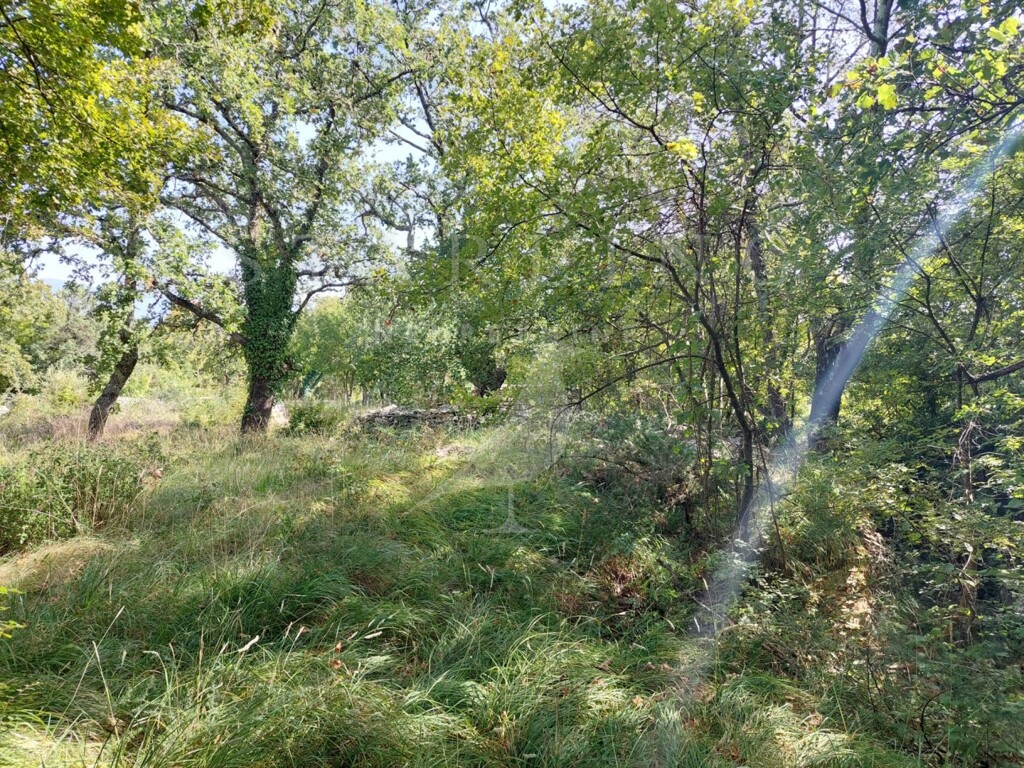Image 5476184 - 3