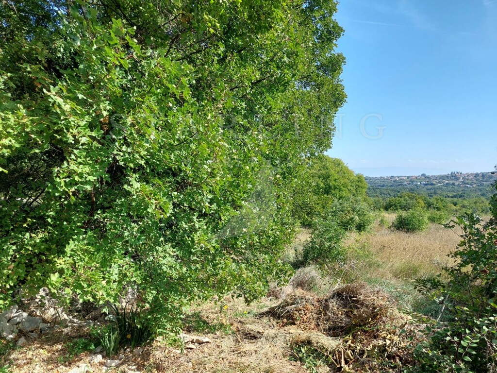 Image 5476184 - 2