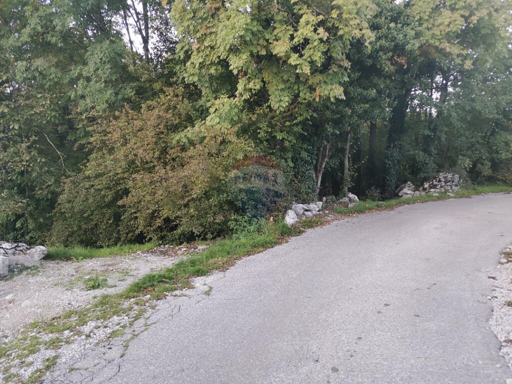 Image 5477133 - 1