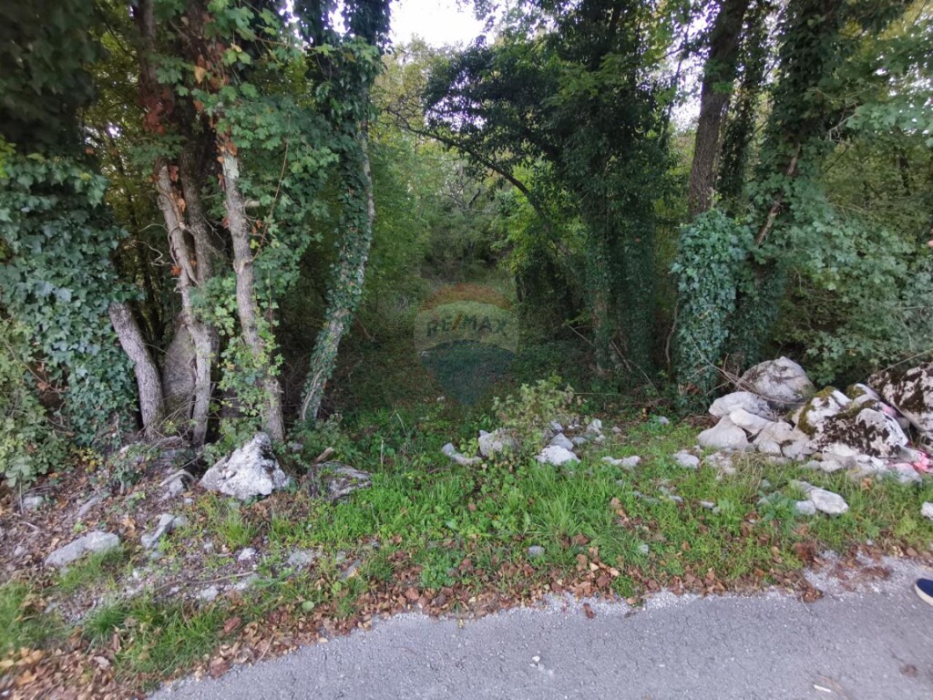 Image 5477133 - 2