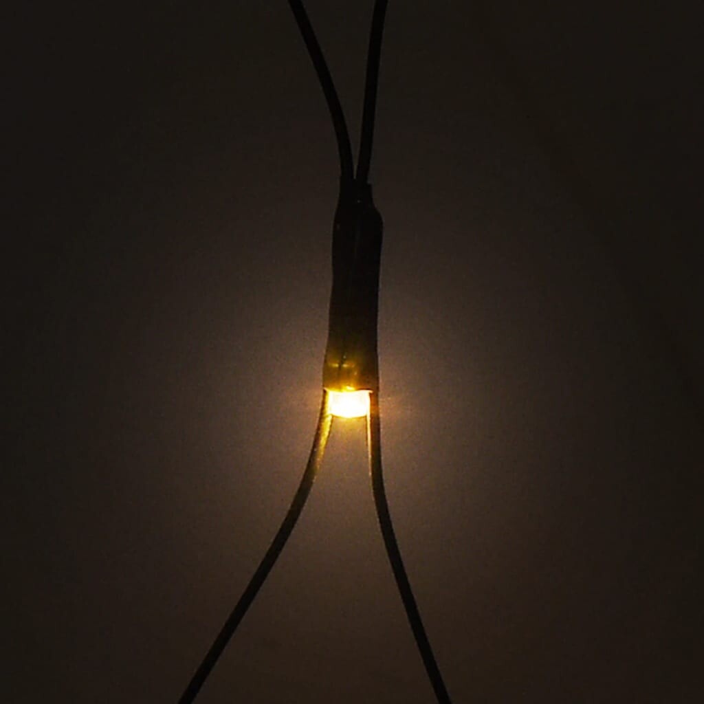 Image 5477666 - 4