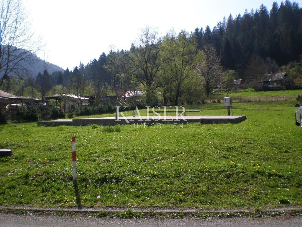 Image 5478599 - 10