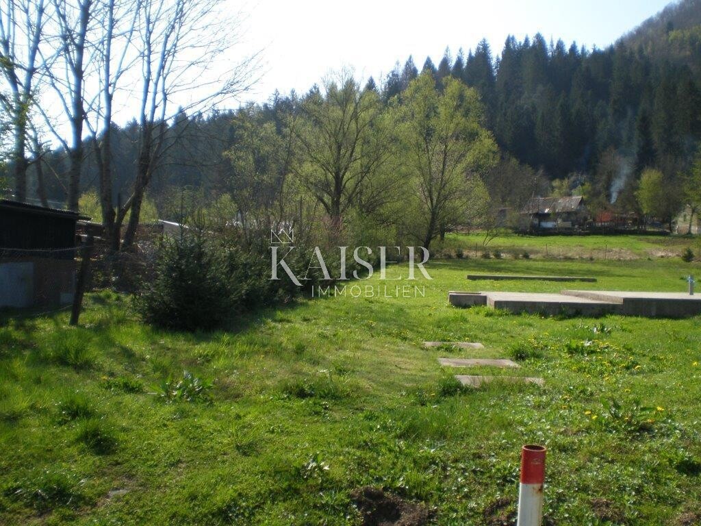Image 5478599 - 6