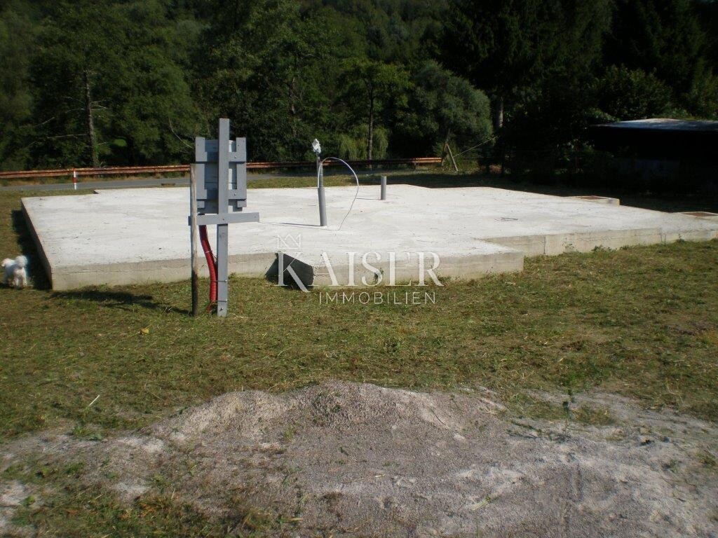 Image 5478599 - 4