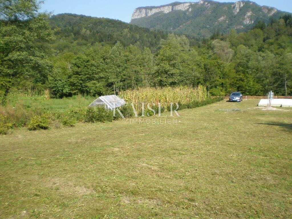 Image 5478599 - 7