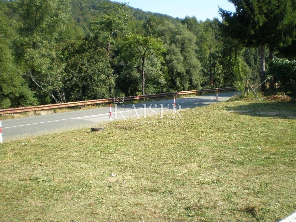 Image 5478599 - 2