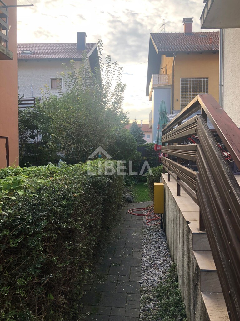 Image 5478716 - 19