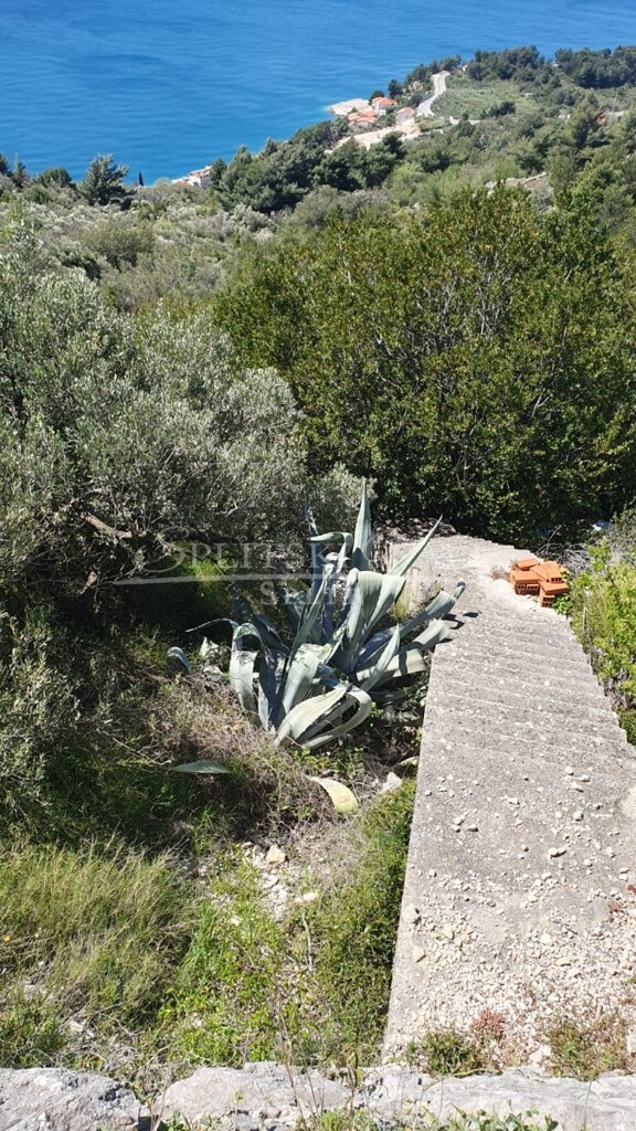 Image 5478727 - 2