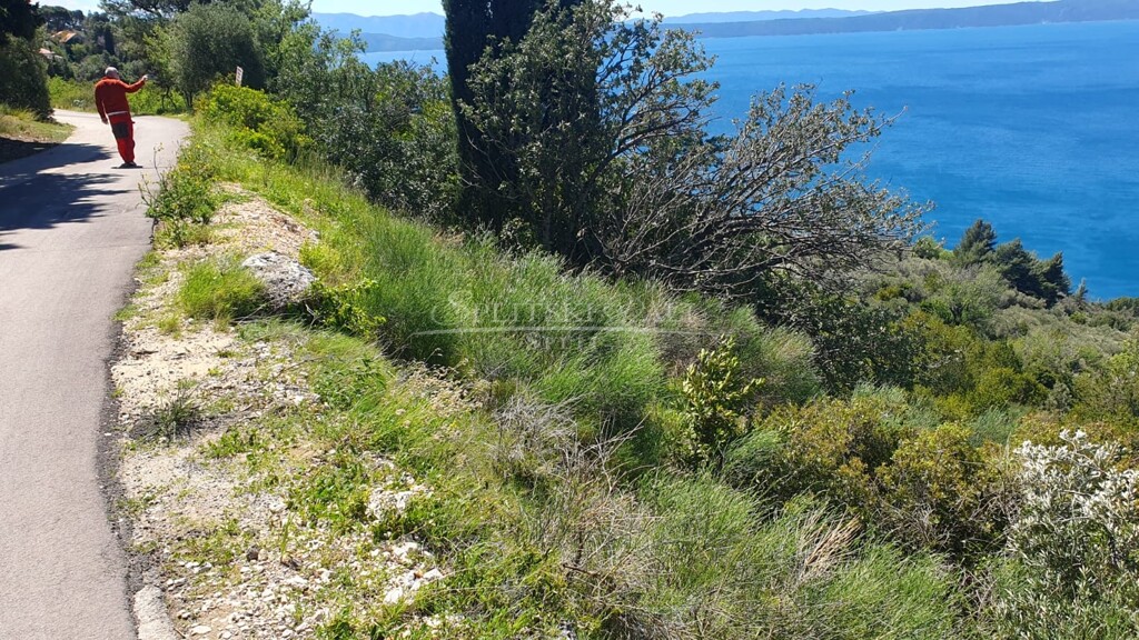 Image 5478727 - 1