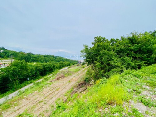 Thumbnail 5480646 - 11