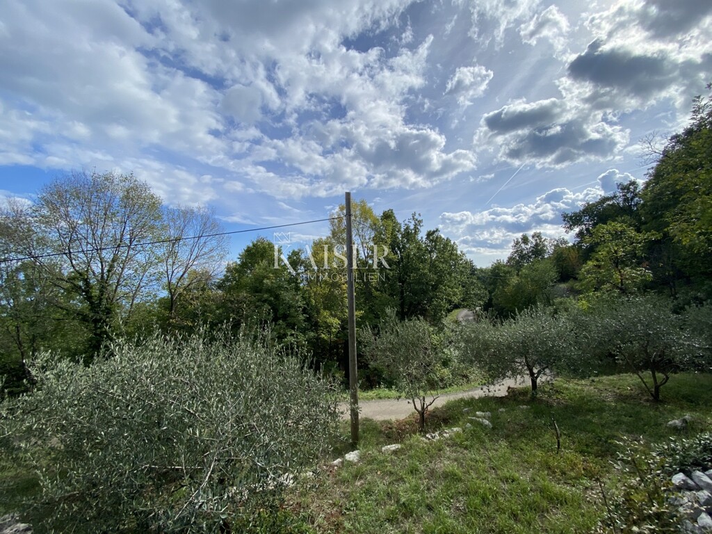 Image 5480647 - 4