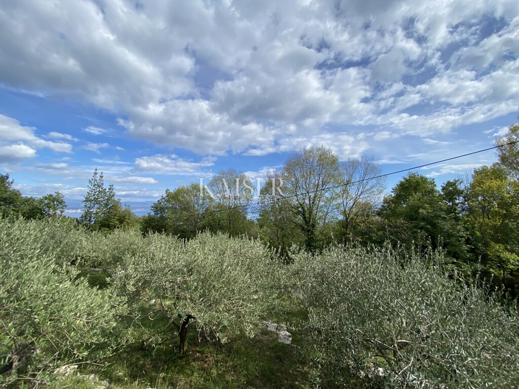 Image 5480647 - 3