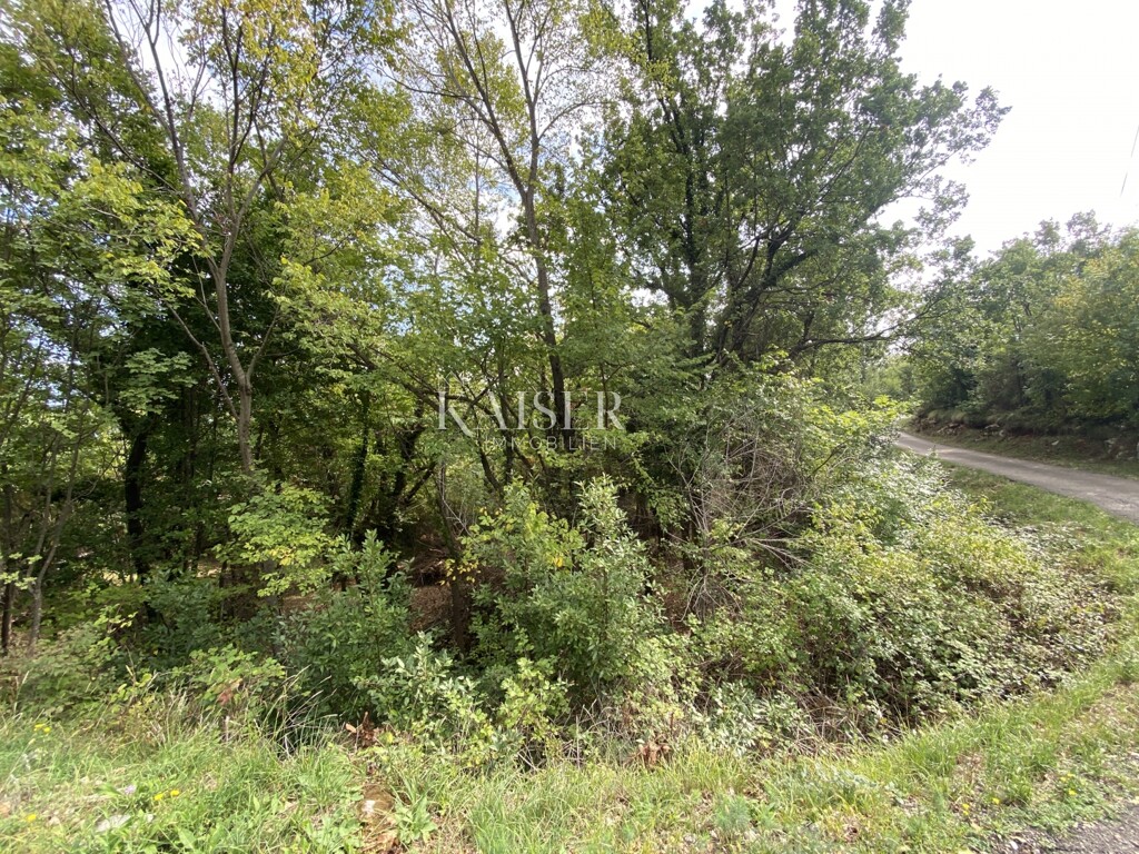 Image 5480647 - 7