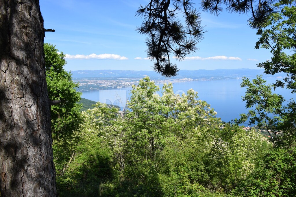 Image 5480650 - 3