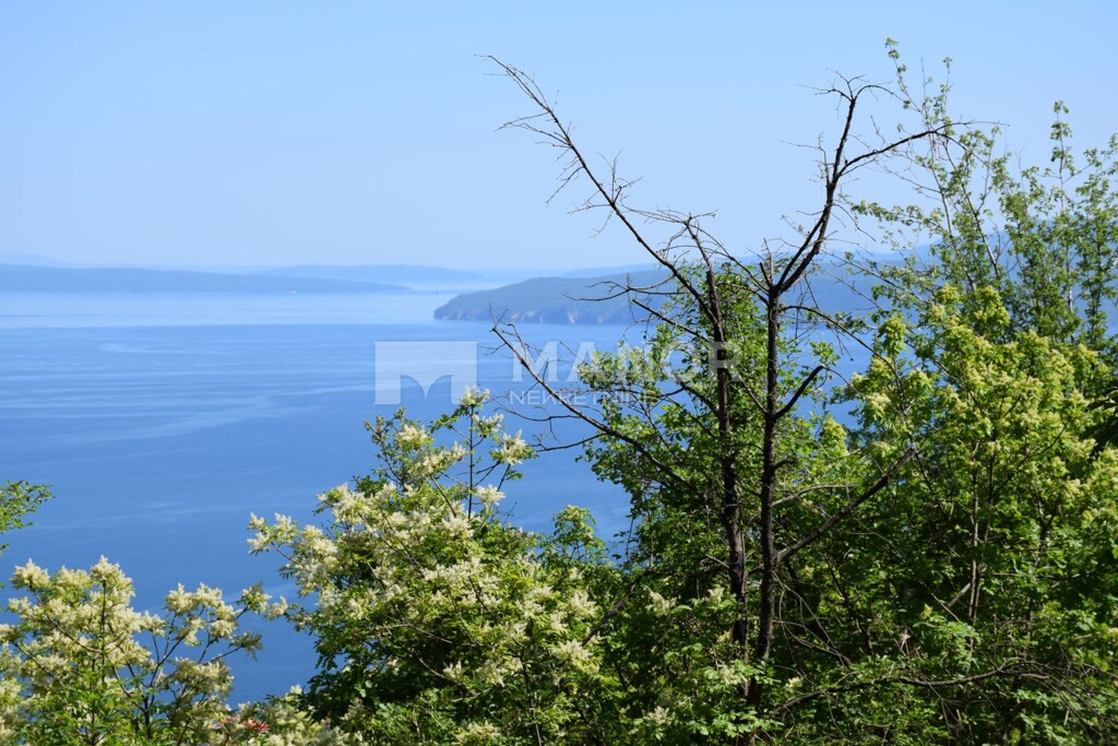 Image 5480650 - 1