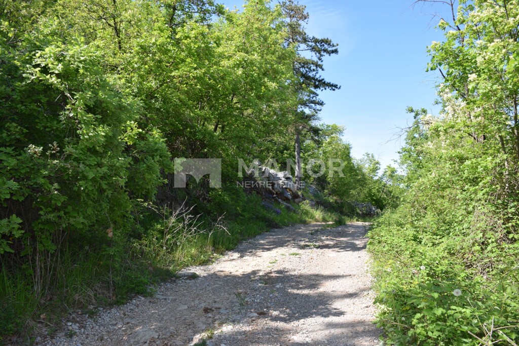 Image 5480650 - 6