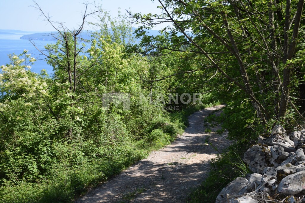 Image 5480650 - 5