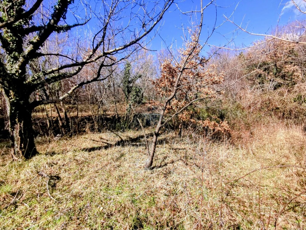 Image 5480657 - 5