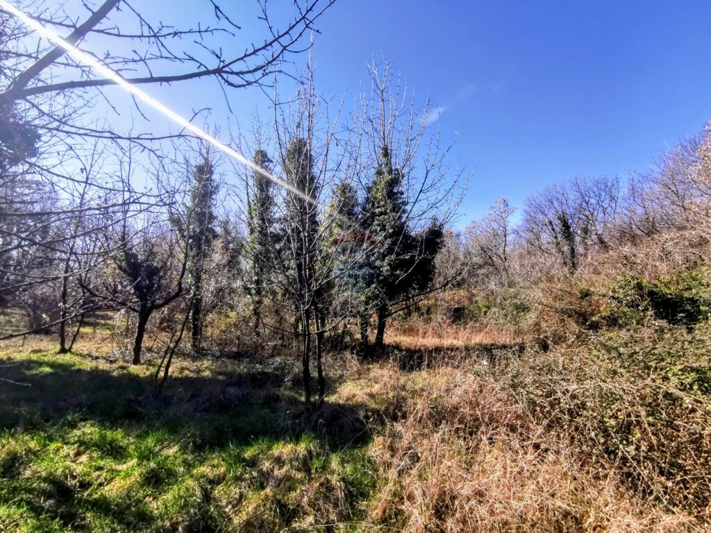 Image 5480657 - 2