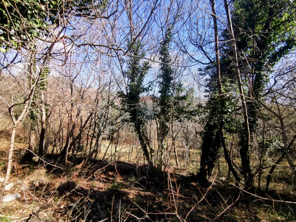 Image 5480657 - 6
