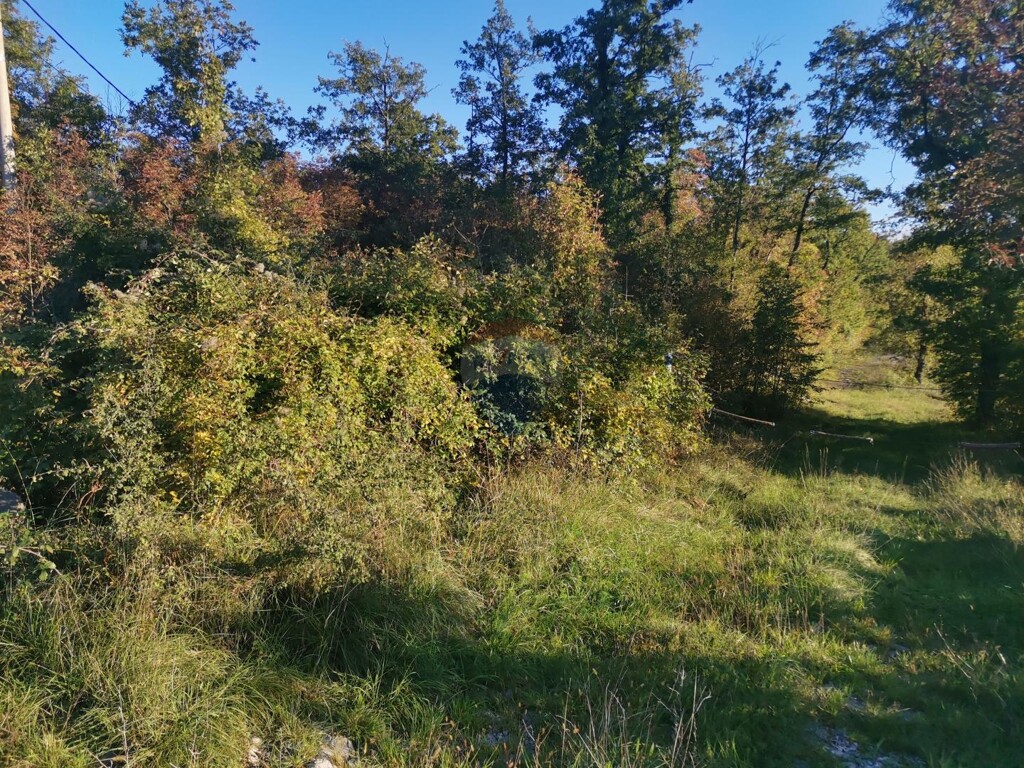 Image 5480674 - 1