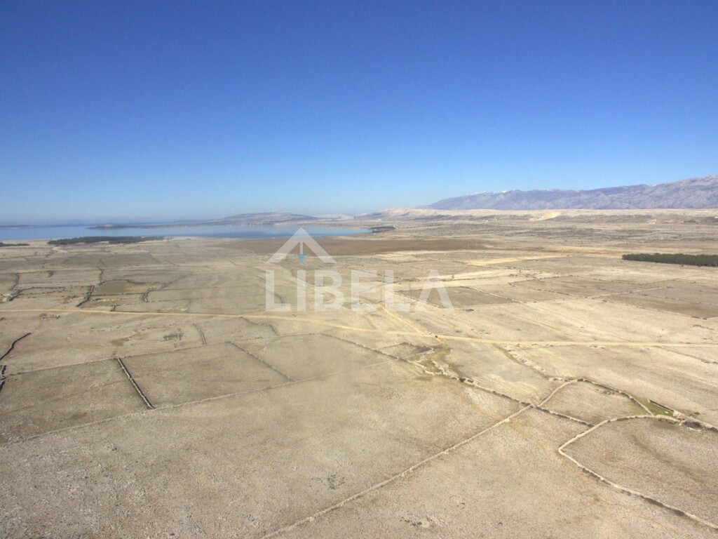 Image 5481999 - 1
