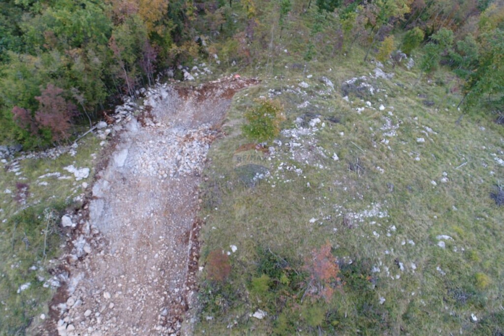 Image 5482029 - 13