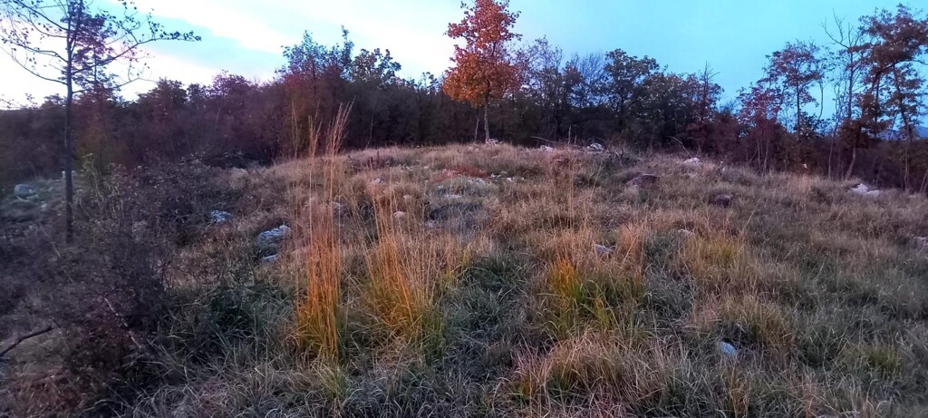 Image 5482029 - 11