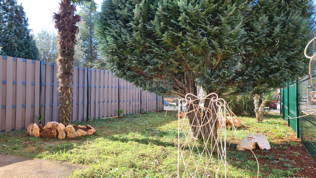 Image 5482035 - 16