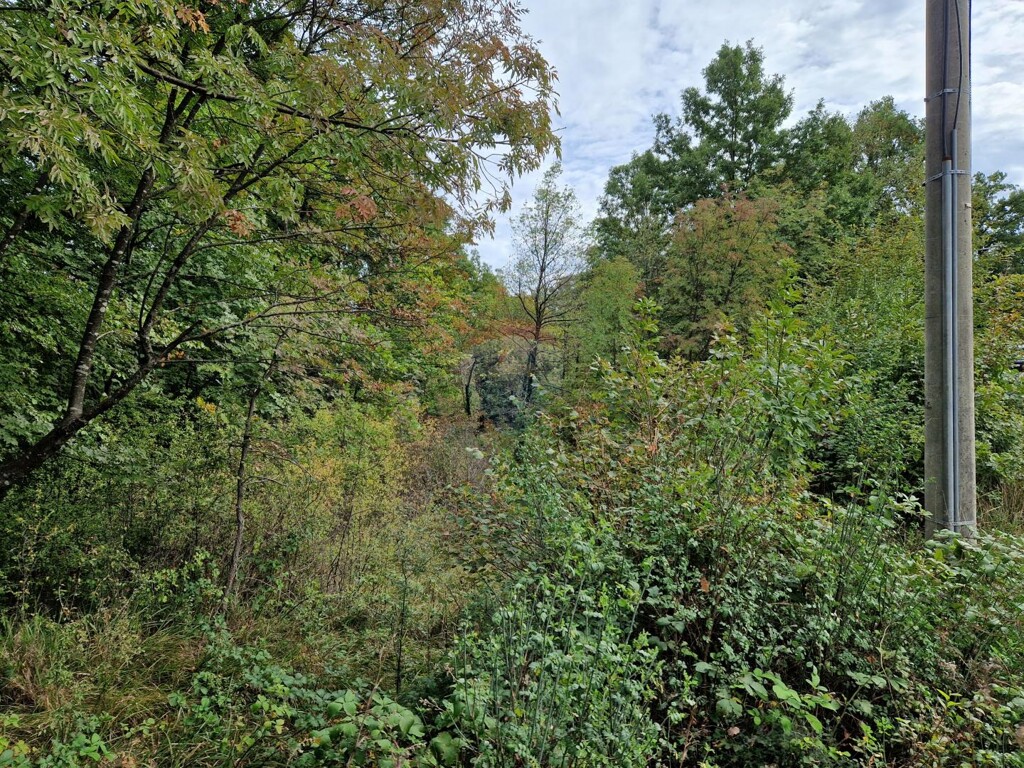 Image 5482045 - 2