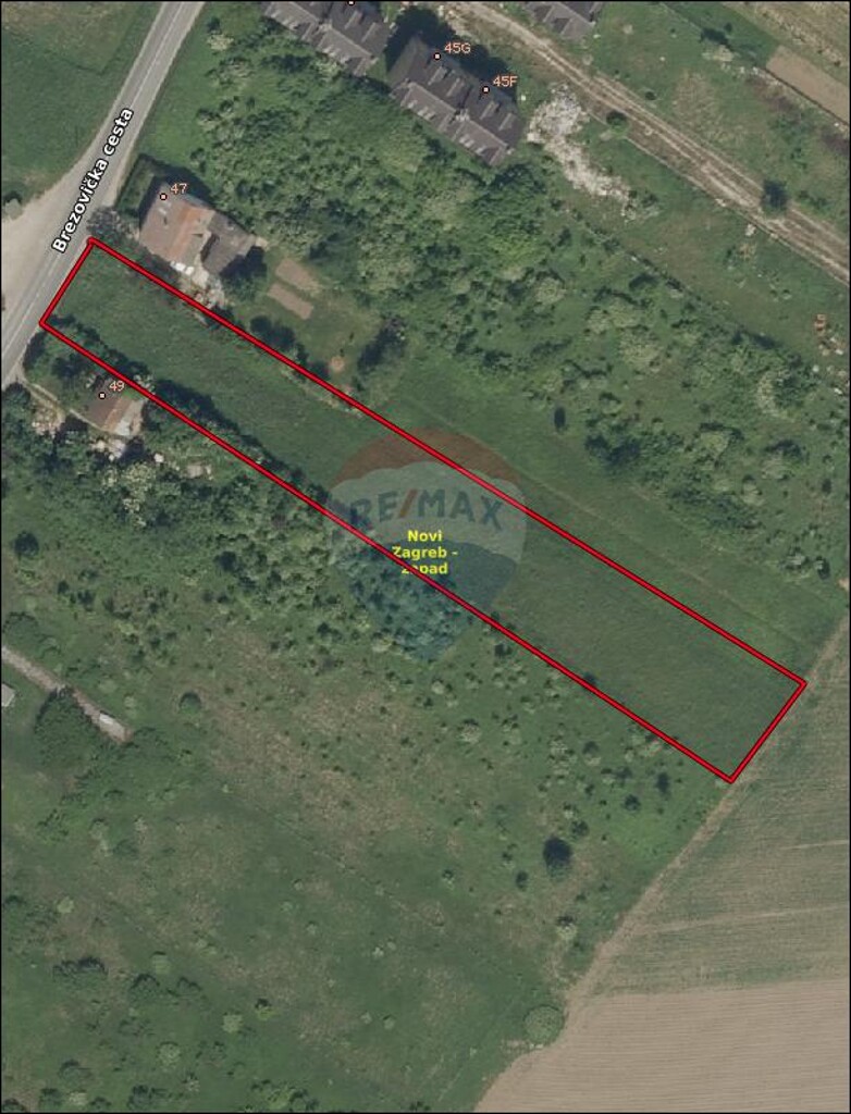 Image 5482046 - 6