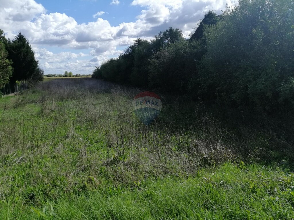 Image 5482046 - 4
