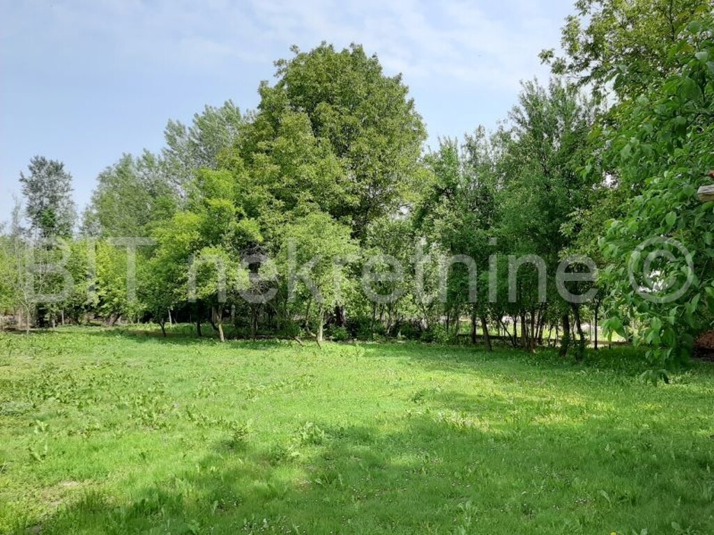 Image 5482845 - 17