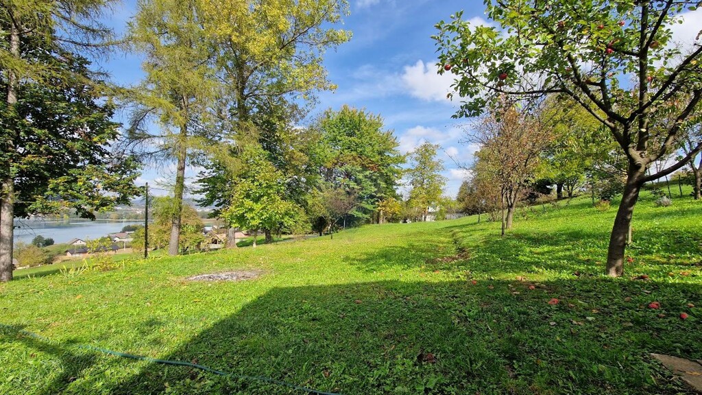 Image 5483117 - 19