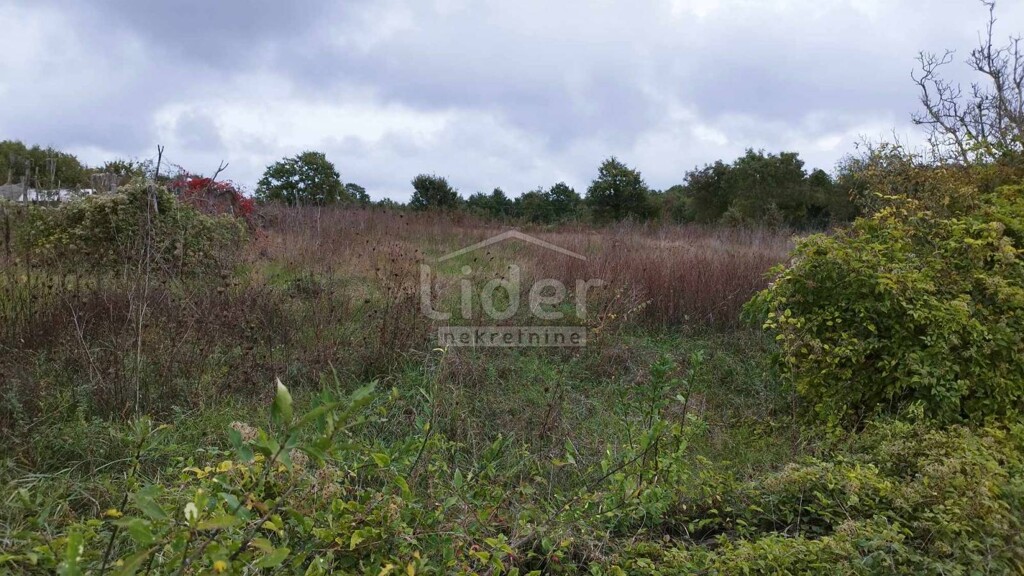 Image 5483656 - 1