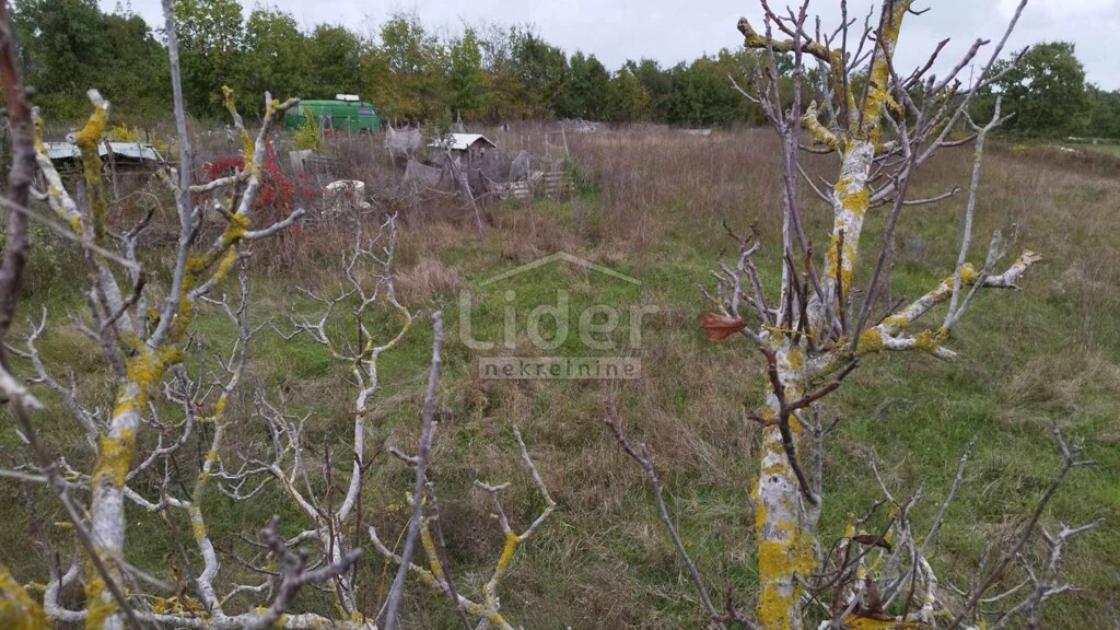 Image 5483656 - 2